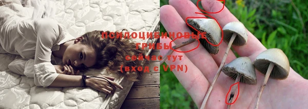 герыч Надым